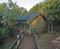  - Amatikulu Tented Camp 