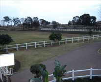 Picture 8/8 - Summerveld Country Lodge