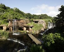  - 20 Milkwood, Zimbali Coastal Resort 