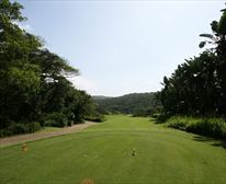  - 20 Milkwood, Zimbali Coastal Resort 