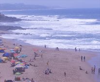 Willards beach 840 meters away - Malibu at Beverly Hills