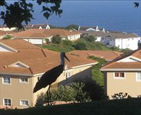 Eco Estate - Malibu at Beverly Hills