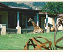Dawsons Game & Trout Lodge, Barberton Accommodation