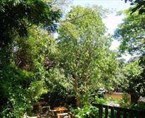  - Accommodation @ Chicken Shack Lodge