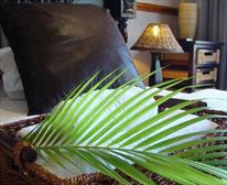 Picture 12/13 - African Peninsula Guest House