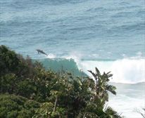  - Anchor Inn Self Catering Flats R190pp/sharing