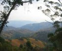 Siyakwamukela Bed and Breakfast, Botha's Hill Accommodation