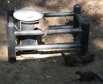  - Cape Vidal Camp