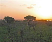  - Cape Vidal Camp