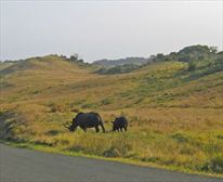  - Cape Vidal Camp