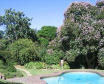 Hibiscus Suite - Butterscotch Bed & Breakfast