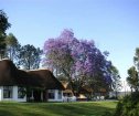 The Antbear Guesthouse, Giant's Castle Accommodation