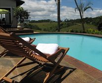 Sparkling swimming pool. - Cliff Manor B&B