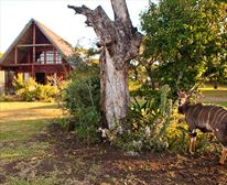 Double Ensuite Unit - Rhino River Lodge