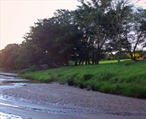 I'll watch while you rest! - Rhino River Lodge