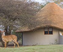  - Zululand Safari Lodge