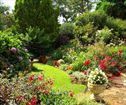 Harrow Hill, Howick Accommodation