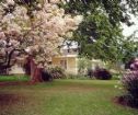 Hayfields Guest House, Howick Accommodation