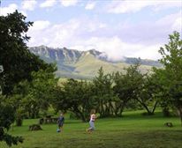  - Kamberg Camp