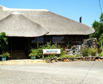 Frontal View