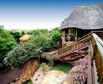View of Unit - Isiyala Game Lodge 