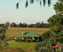  - Cranes Nest Mountain Lodge