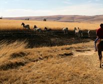 Picture 5/7 - Grey Goose Farm Lodge