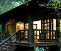 Phinda Forest Lodge, Phinda Private Game Reserve Accommodation