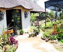 Pongola Tropical, Pongola Accommodation