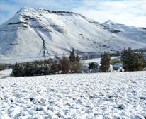 Winter wonderland - KINMEL GUEST FARM & LODGE