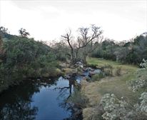  - Royal Natal National Park