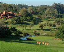 San Lameer's signature 9th + wild life - San Lameer Estate Villa Rentals