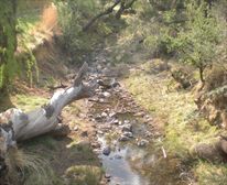 Bridge by campsite over stream - Glen Reenen Rest Camp