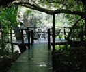 Narina Bush Camp, Addo Elephant Park Accommodation