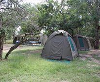 Camp Site - Pretoriuskop Rest Camp
