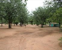 Camp Site - Shingwedzi Camp