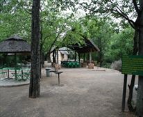  - Shingwedzi Camp