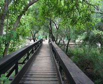 Bridge to day visitors picnic site - Shingwedzi Camp