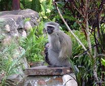  - Mhlangeni Lodge B&B