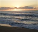 Tropical Beach B&B, Shelly Beach Accommodation