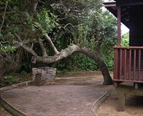  - Sodwana Bay camp