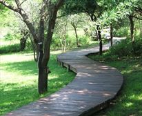 Walkway - Nibela Lodge