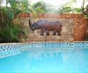 Rhino Coast Guesthouse, St Lucia Accommodation