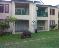 OUR 'NOT SO LITTLE' BABY - The Bridge Holiday Resort