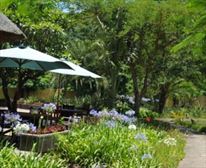 Outside shower family lodge - ::Wellvale Private River Resort::