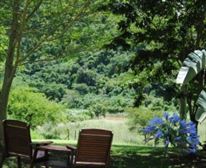 Swimming pool - ::Wellvale Private River Resort::