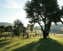  - Drakensberg Gardens Golf & Spa Resort