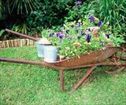 Rose Cottage B&B, Winterton Accommodation