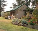 The Ponds Cottages, Winterton Accommodation