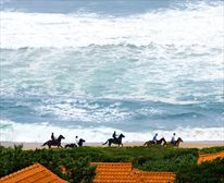  - Zimbali Chalets, Zimbali Coastal Resort
